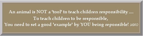 Motto_TeachingResponsibility_MNO.jpg (17573 bytes)
